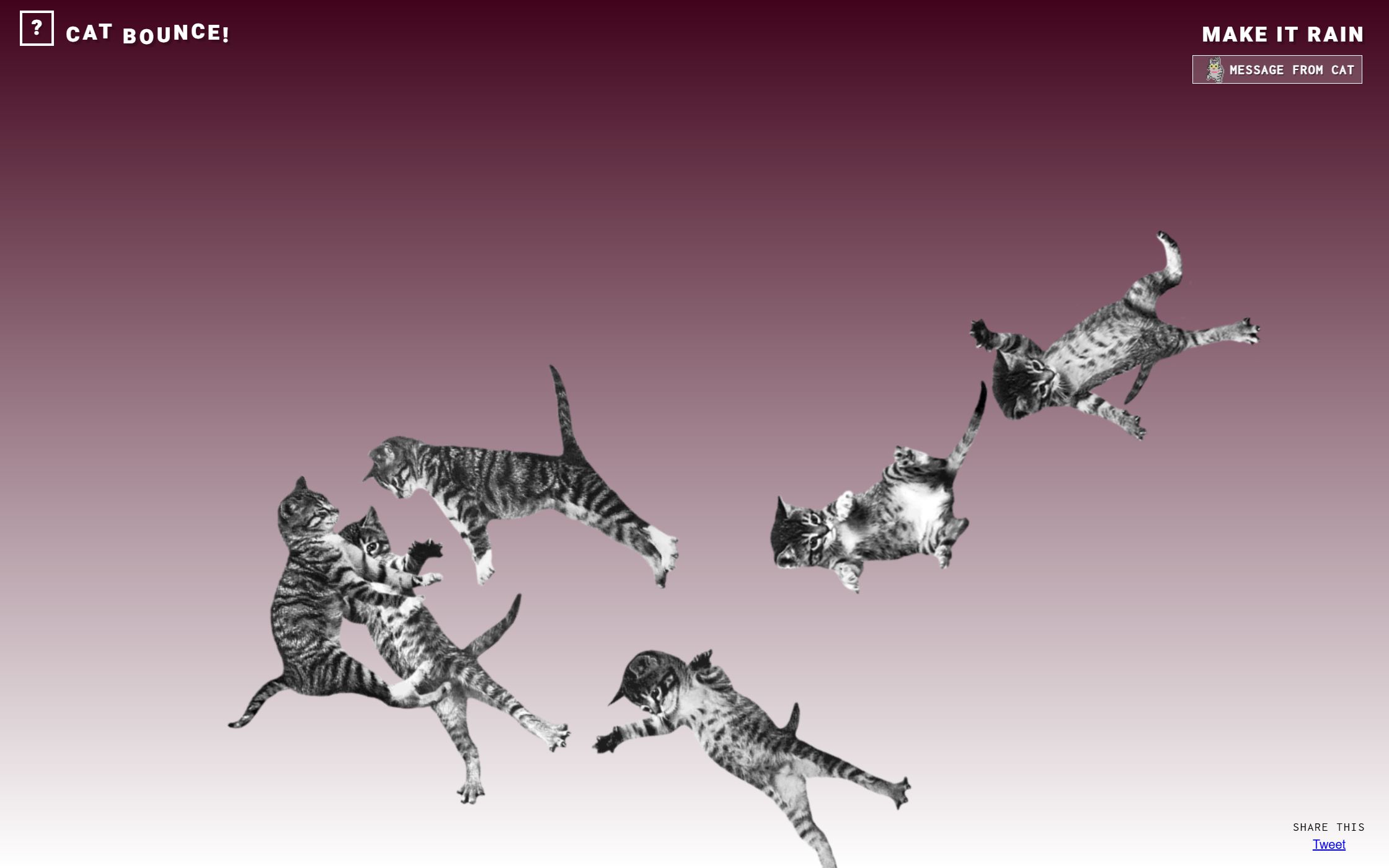 Cat Bounce